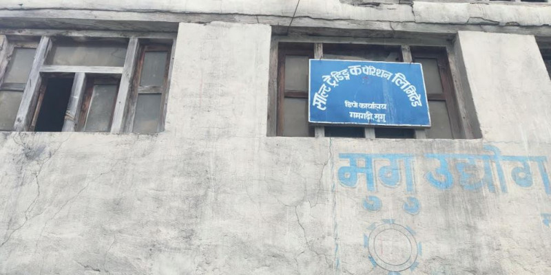 मुगुकाे १ सय ५९ क्वीन्टल अनुदानको नुन कहाँ हरायाे? डिपाे र ठेकेदारकाे जुहारीमै बित्याे महिना दिन